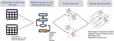 Evaluating the Reproducibility of Single-Cell Gene Regulatory Network Inference Algorithms